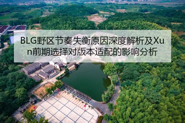 BLG野区节奏失衡原因深度解析及Xun前期选择对版本适配的影响分析