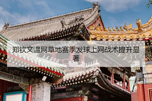 zheng-qin-wen-wen-wang-cao-di-sai-ji-fa-qiu-shang-wang-zhan-shu-ti-sheng-xian-zhu-3-362.jpg