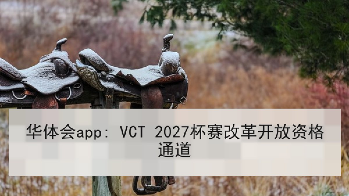 华体会app: VCT 2027杯赛改革开放资格通道