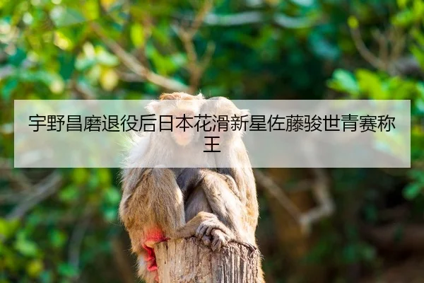 yu-ye-chang-mo-tui-yi-hou-ri-ben-hua-hua-xin-xing-zuo-teng-jun-shi-qing-sai-cheng-wang-2-308.jpg
