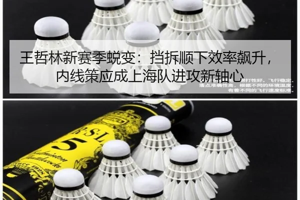 王哲林新赛季蜕变：挡拆顺下效率飙升，内线策应成上海队进攻新轴心