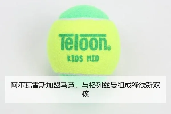 阿尔瓦雷斯加盟马竞，与格列兹曼组成锋线新双核