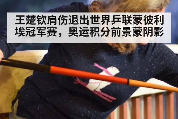 王楚钦肩伤退出世界乒联蒙彼利埃冠军赛，奥运积分前景蒙阴影